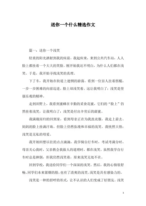 送你一个什么精选作文