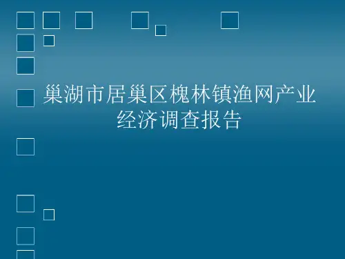 巢湖市居巢区槐林镇渔网产业经济调查报告解读