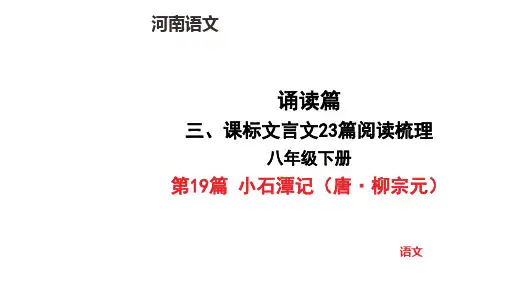 中考语文总复习八年级下册第19篇 小石潭记(唐柳宗元)文言文阅读梳理