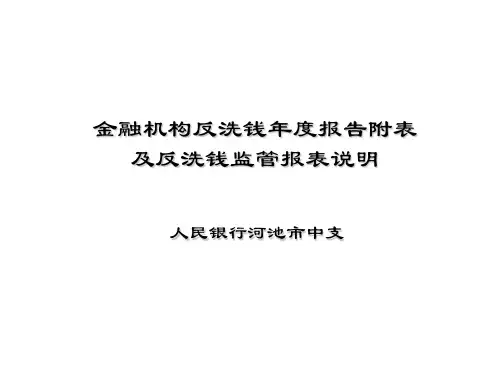 金融机构反洗钱年度报告附表说明