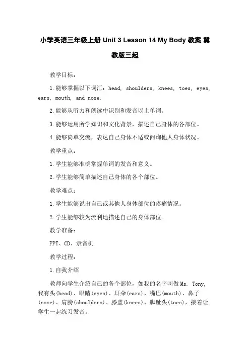 小学英语三年级上册 Unit 3 Lesson 14 My Body 教案 冀教版三起