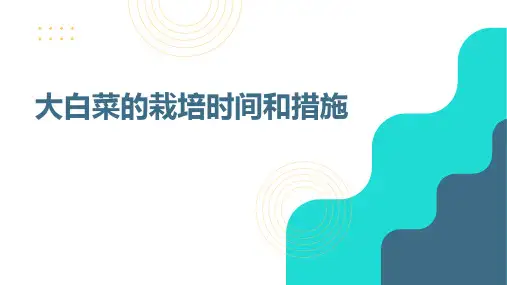 大白菜的栽培时间和措施