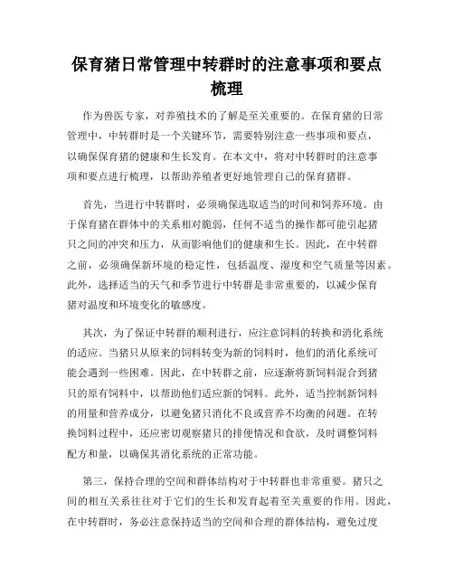 保育猪日常管理中转群时的注意事项和要点梳理
