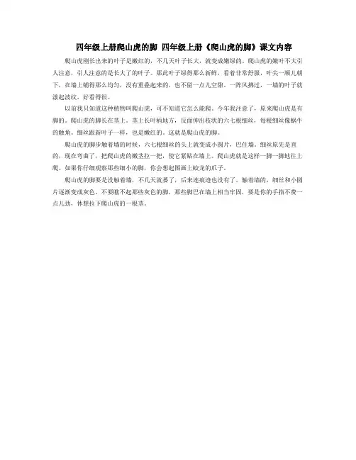 四年级上册爬山虎的脚四年级上册爬山虎的脚课文内容