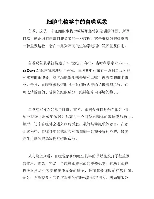 细胞生物学中的自噬现象
