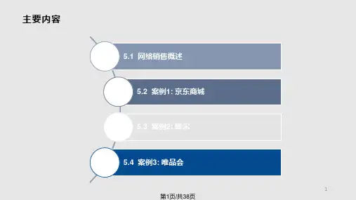 网络销售模式案例分析PPT课件