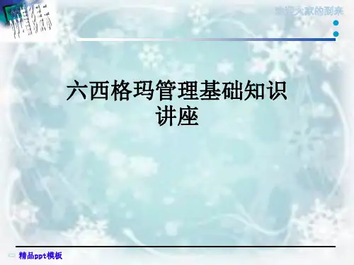 六西格玛管理基础知识讲座