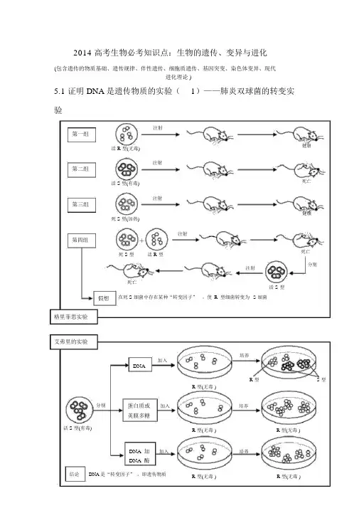 2014高考生物必考知识点：生物的遗传、变异与进化介绍(20210419170424)