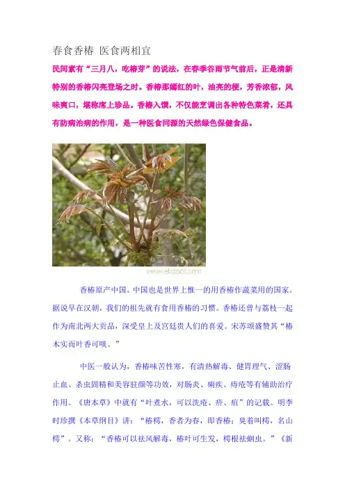 春食香椿 医食两相宜