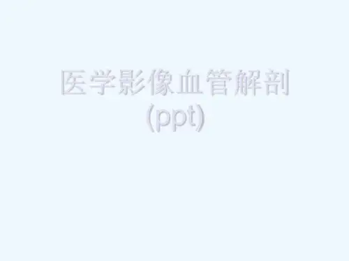 医学影像血管解剖(ppt)