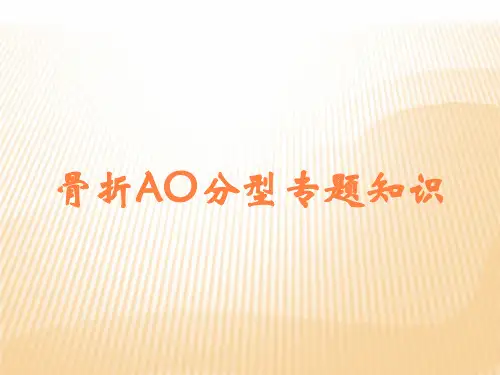 骨折AO分型专题知识