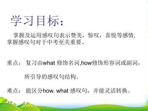 人教英语九年级全一册Unit 2 Section A Grammar focus 4a—4c (共