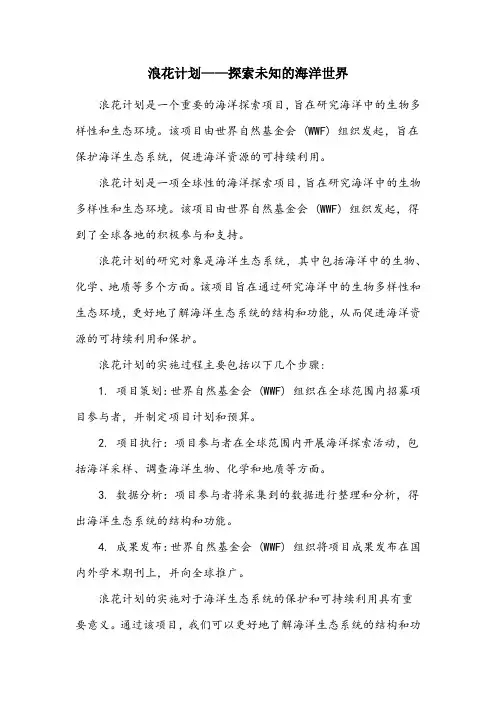 浪花计划内容