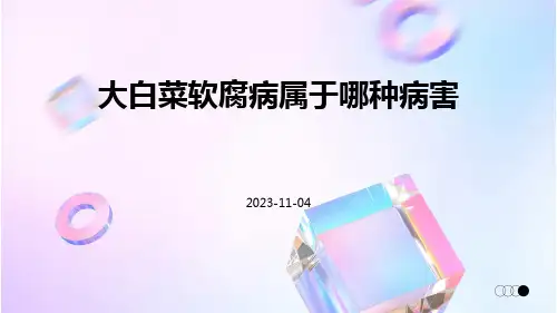 大白菜的软腐病是属于哪种病害