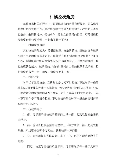 柑橘拉枝角度