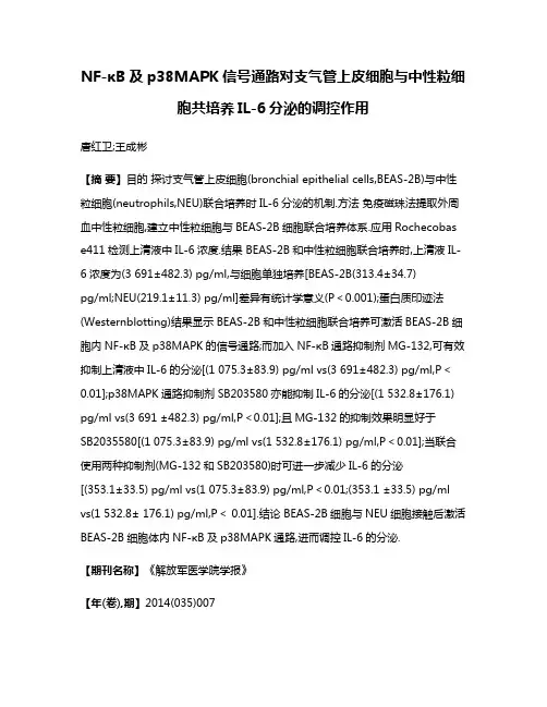 NF-κB及p38MAPK信号通路对支气管上皮细胞与中性粒细胞共培养IL-6分泌的调控作用