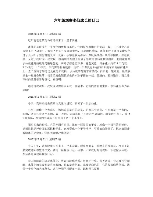 六年级观察水仙成长的日记