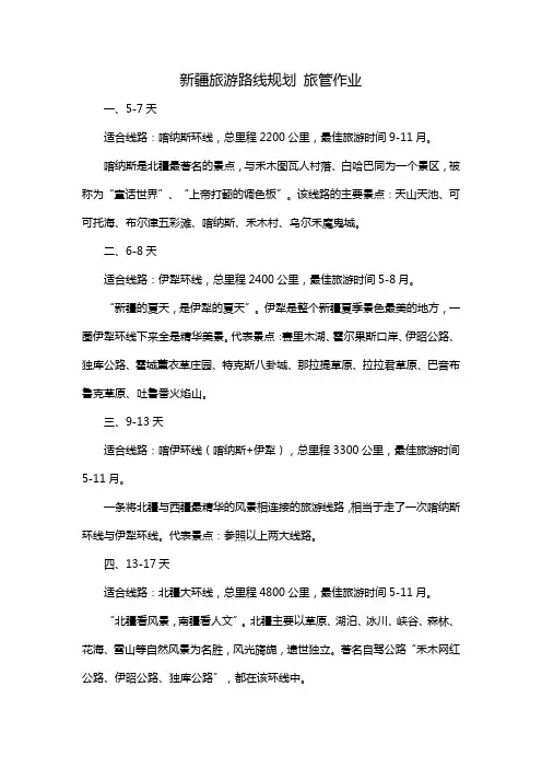 新疆旅游路线规划 旅管作业