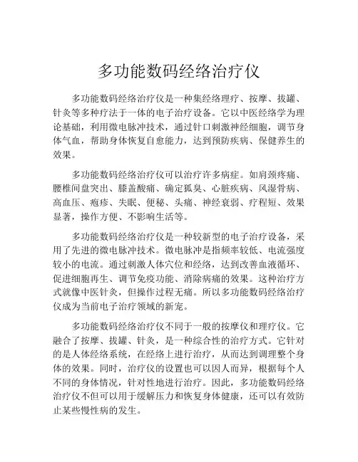 多功能数码经络治疗仪