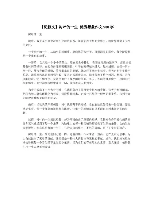 【记叙文】树叶的一生 优秀想象作文900字