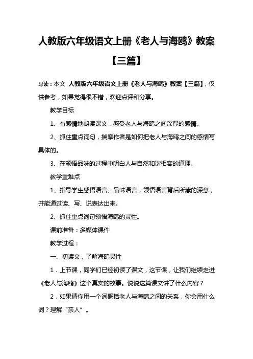 人教版六年级语文上册《老人与海鸥》教案【三篇】