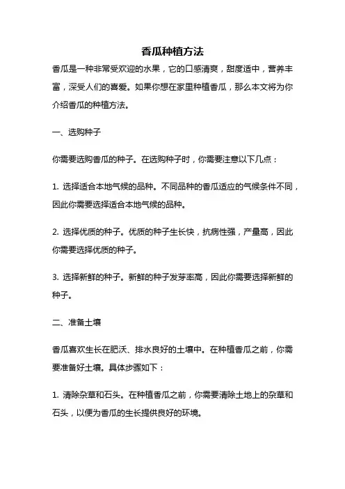 香瓜种植方法