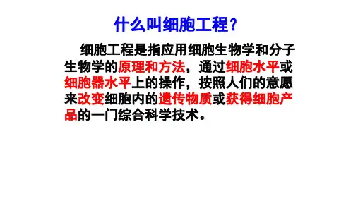植物组织培养