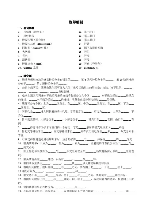 15-腹部解剖