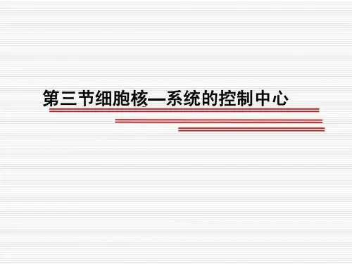 人教版教学课件第三章第三节(上课用) 细胞核—系统的控制中心
