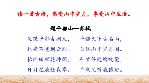 (赛课课件)六年级下册语文《山中杂记》(共66张PPT)