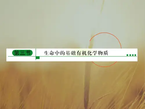 最新-2018年高考化学 第三节 生命中的基础有机化学物质课件 新 精品 