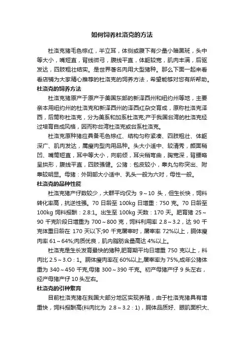 如何饲养杜洛克的方法