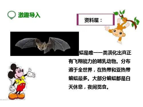 四年级下册语文课件-11蝙蝠和雷达_人教新课标版