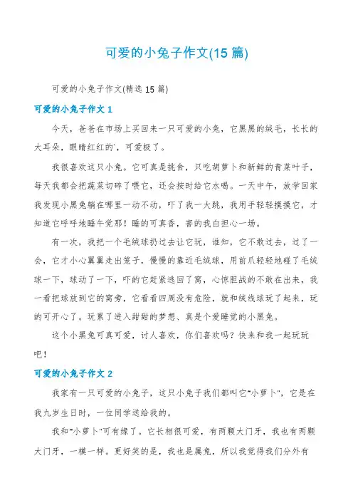 可爱的小兔子作文(15篇)