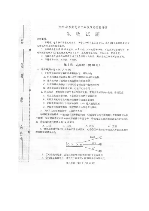 河南省南阳市2019_2020学年高二生物下学期期末考试试题(扫描版)