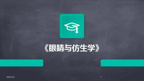 《眼睛与仿生学》(2024)