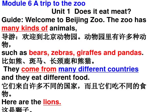 Module 6 A trip to the zoo 中英互译
