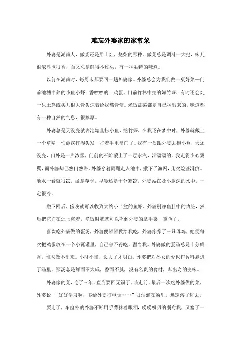 难忘外婆家的家常菜_初中初一作文1000字