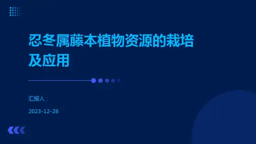 忍冬属藤本植物资源的栽培及应用