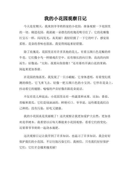  小学三年级作文我的小花园观察日记