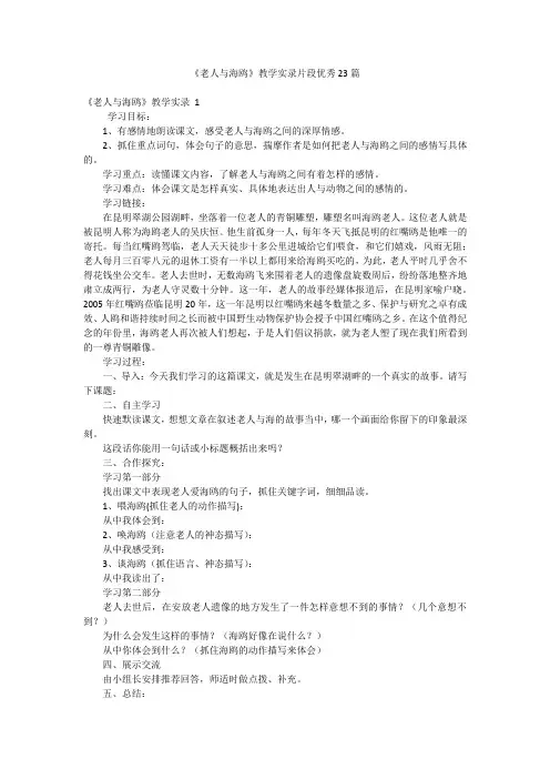 《老人与海鸥》教学实录片段优秀23篇