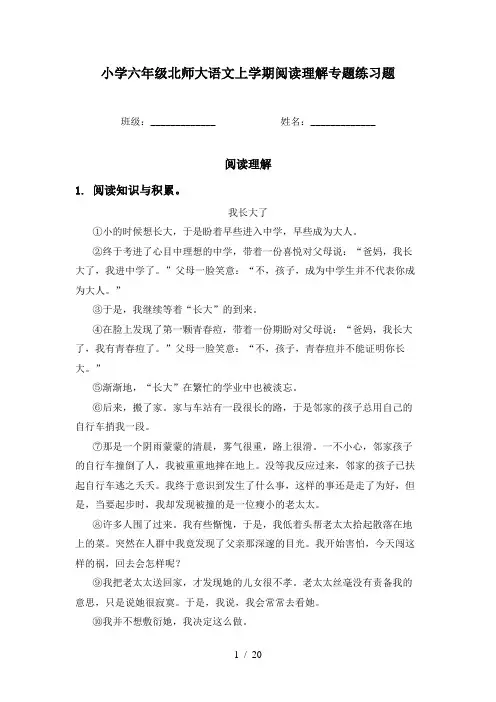 小学六年级北师大语文上学期阅读理解专题练习题