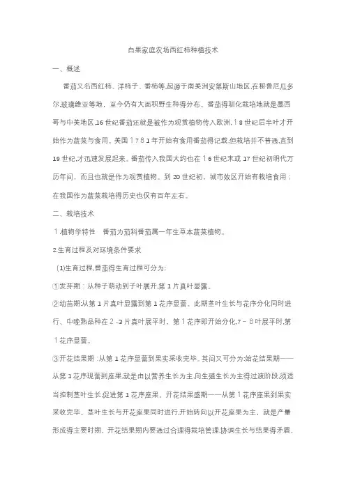 西红柿种植技术