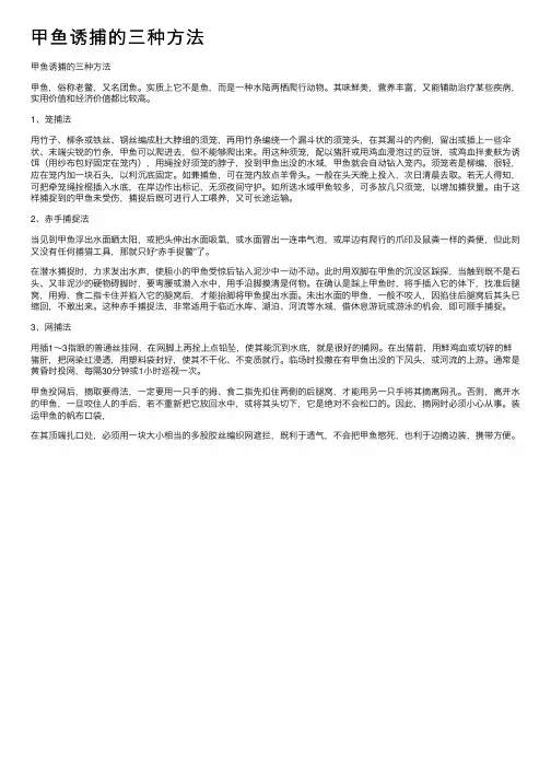 甲鱼诱捕的三种方法