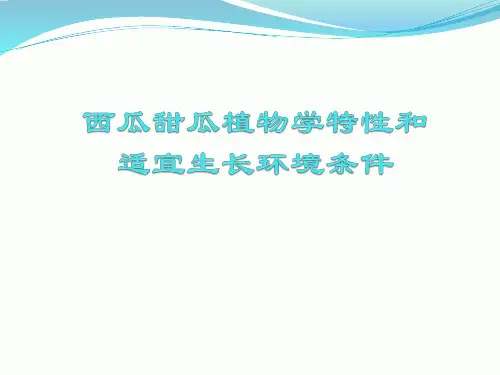 西瓜甜瓜植物学特性和适宜生长环境条件