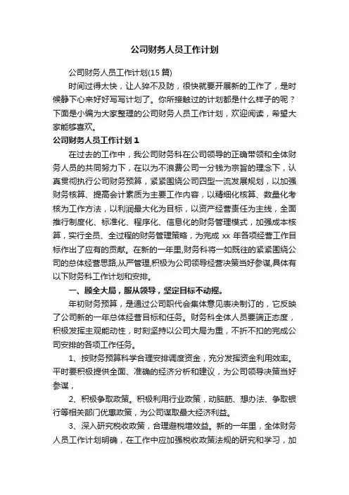 公司财务人员工作计划（15篇）