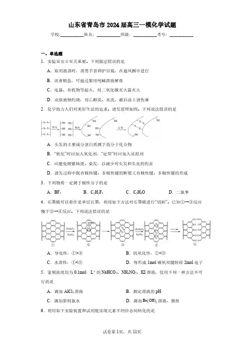 山东省青岛市2024届高三一模化学-试题含解析