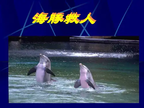 8《海豚救人》PPT