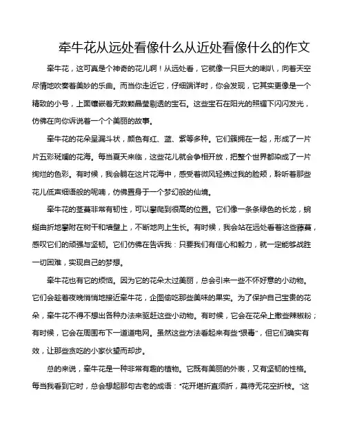 牵牛花从远处看像什么从近处看像什么的作文