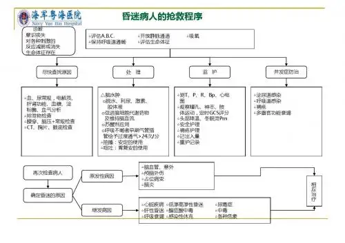 各种抢救流程图.ppt(888)